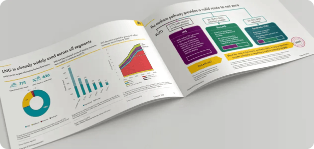methan pathway report visualized