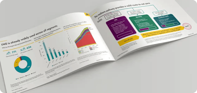 methan pathway report visualized